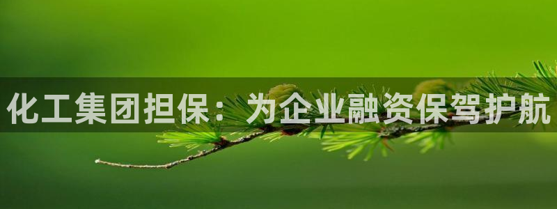 球盟会官方网页登录
