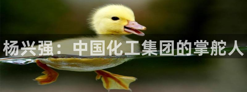 球盟会官网网页版