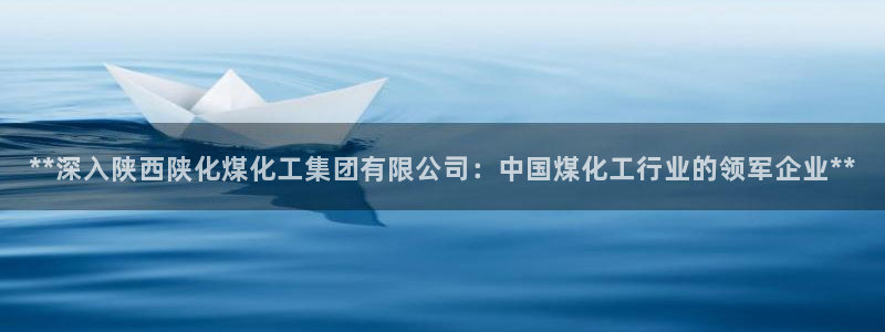 球盟会有没有黑单的活动：**深入陕西陕化煤化工集团有限公司：