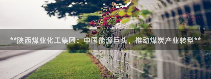 球盟会能退钱吗：**陕西煤业化工集团：中国能源巨头，推动煤炭