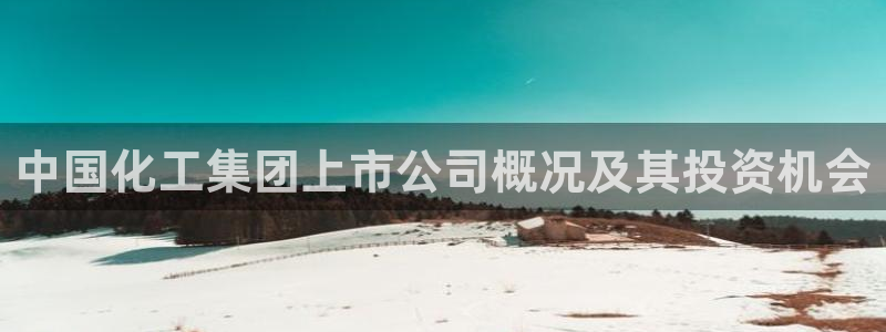 球盟会官方app首页入口：中国化工集团上市公司概况及其投资机