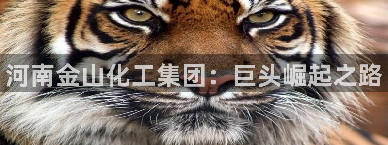 球盟会官方网址入口