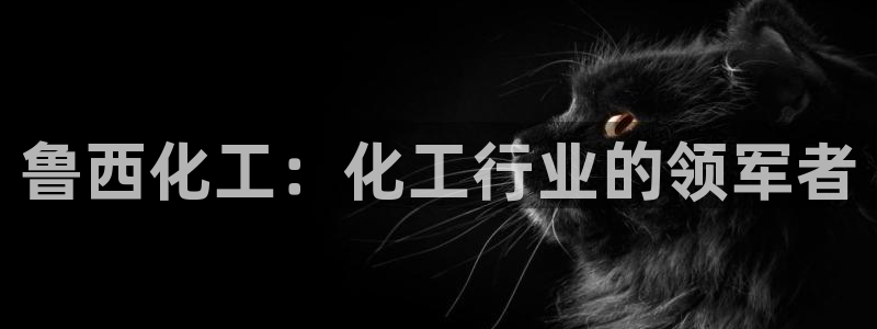球盟会提款支付宝怎么样