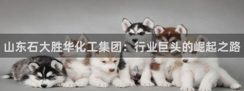 球盟会里面有打牌的嘛是真的吗