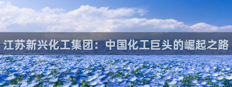 球盟会网页版登陆