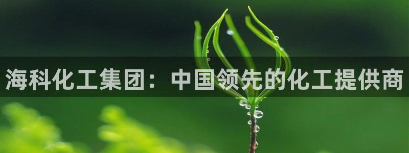 球盟会综合体育平台怎么样