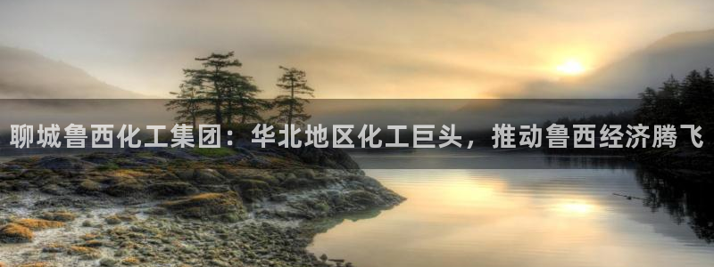 球盟会电子