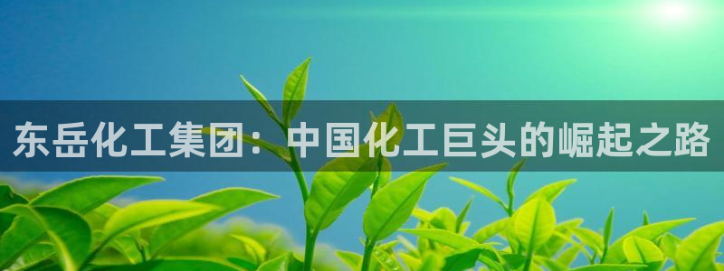 球盟会app网址多少