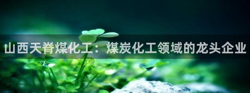 球盟会在线登录官网