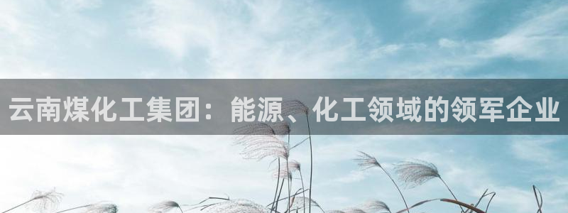 球盟会在线网站