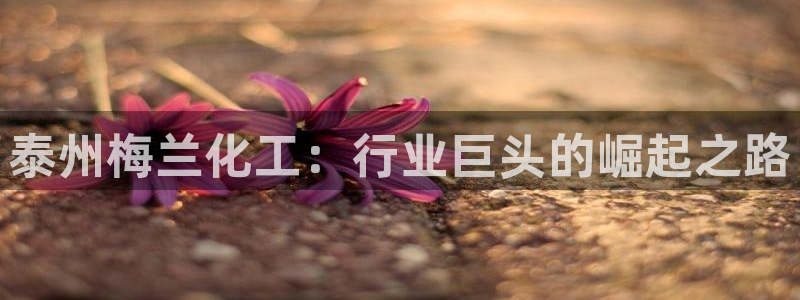 球盟会下款快吗
