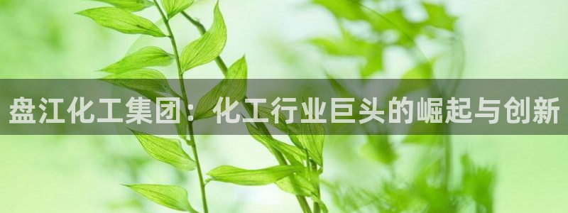 球盟会入口