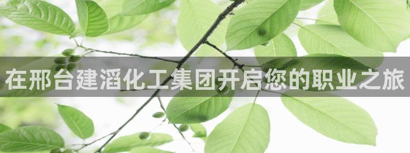 球盟会用的客服聊天是哪个软件