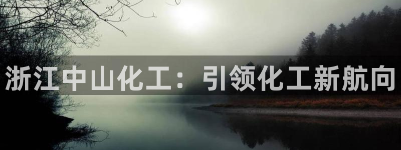 球盟会入口