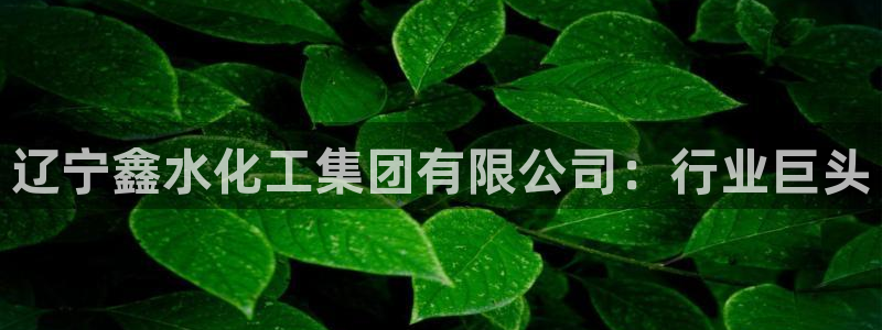 球盟会app网址多少