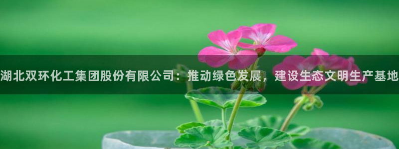 球盟会qmh