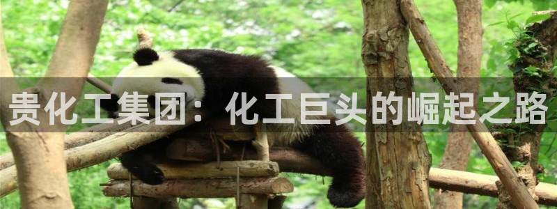 球盟会官网