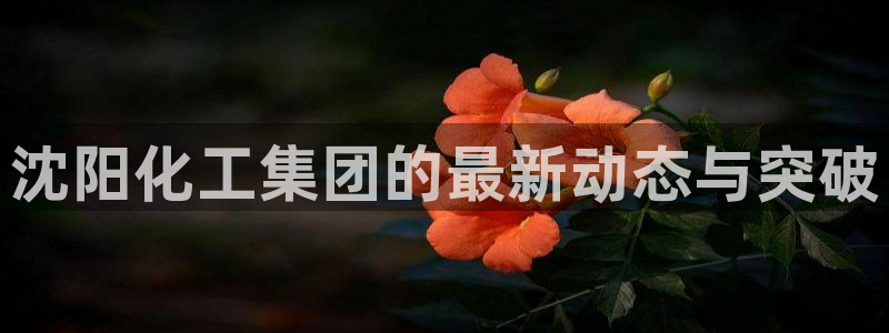 球盟会官方网站是什么