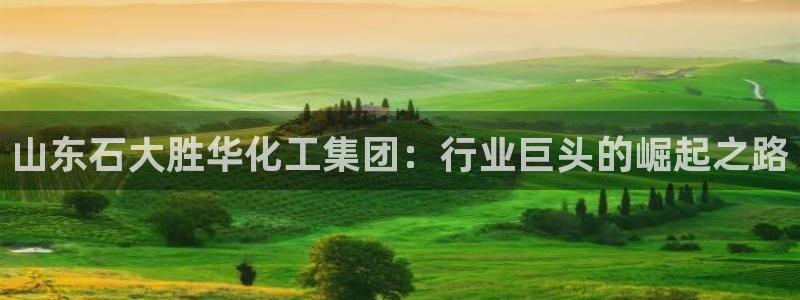 球盟会可靠不