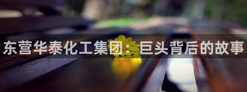球盟会里面有打牌的嘛