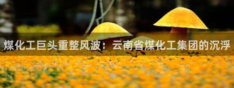 球盟会黑款吗是真的吗