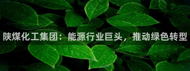 球盟会能退钱吗知乎