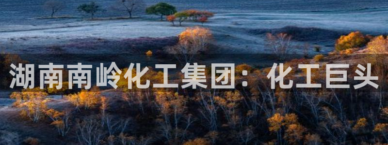 球盟会有没有黑单的