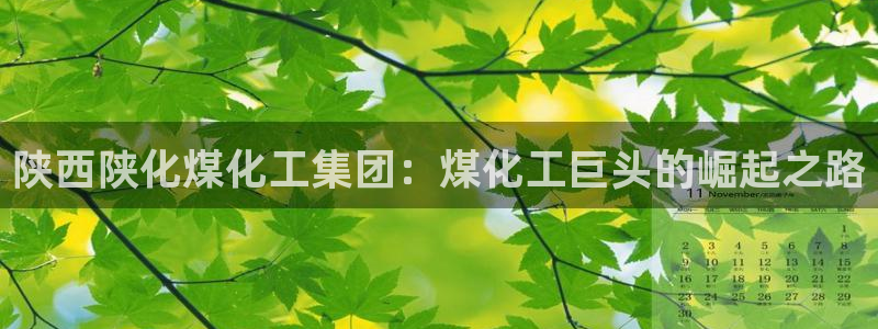 球盟会能退钱吗