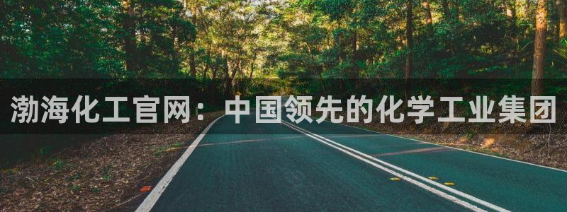 球盟会app手机登录