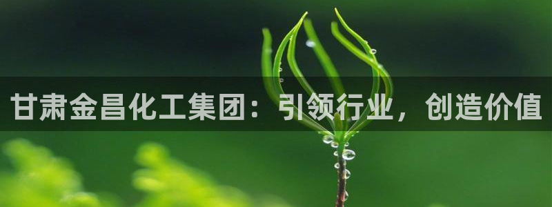 球盟会黑嘛