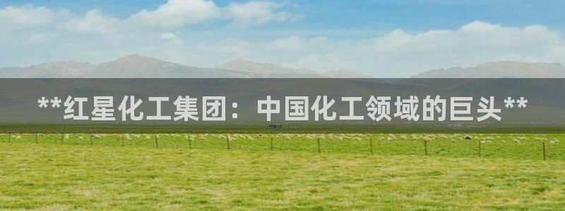球盟会有限公司怎么样