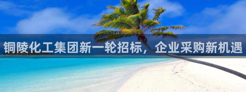 球盟会登录平台入口
