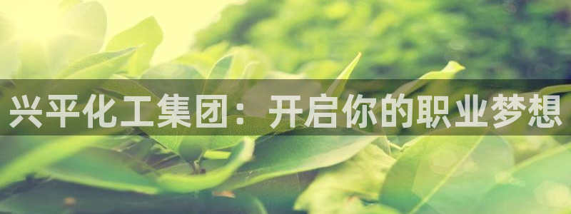 球盟会在线官网