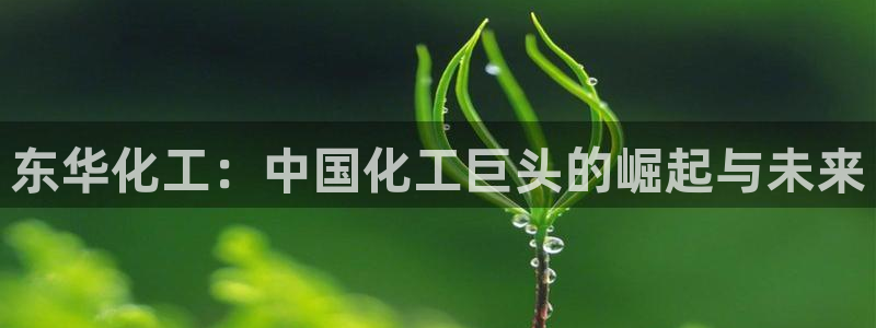 球盟会黑款吗知乎