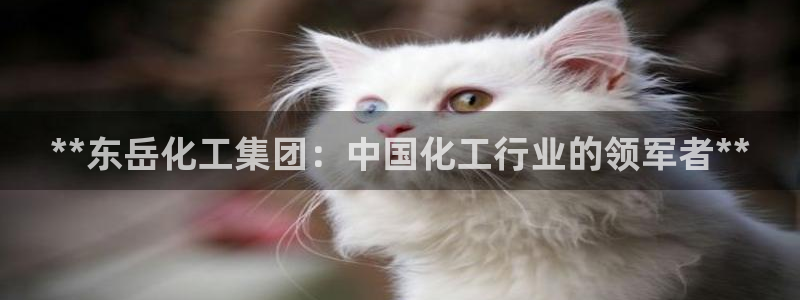 球盟会中国官方网站：**东岳化工集团：中国化工行业的领军者*