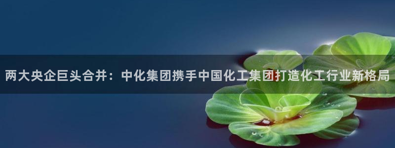 球盟会app最新地址在哪