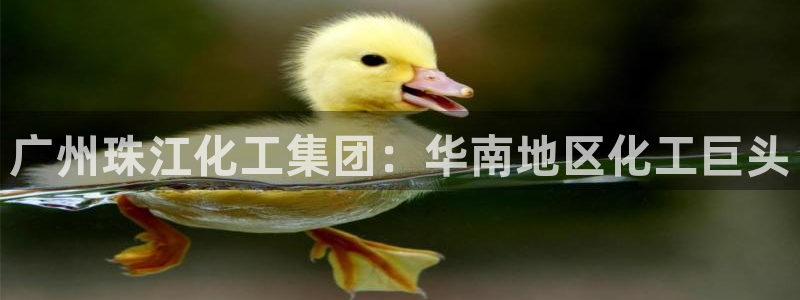 球盟会app
