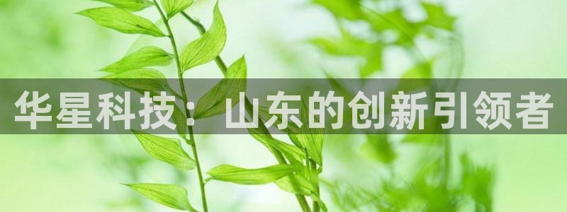 球盟会能退钱吗知乎：华星科技：山东的创新引领者