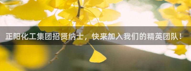 球盟会几点玩合适