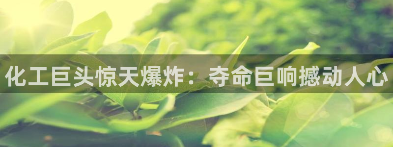 球盟会优惠码