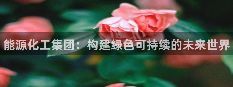 球盟会官方登录平台：能源化工集团：构建绿色可持续的未来世界