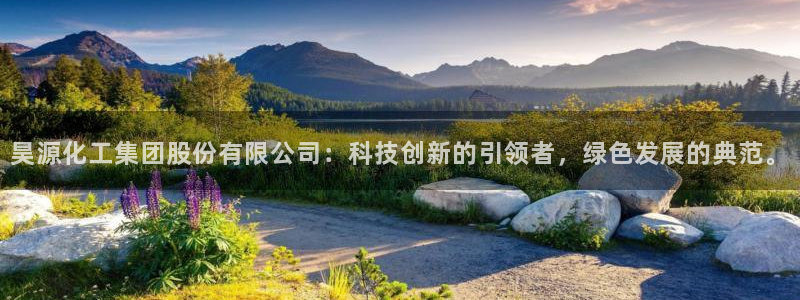 球盟会APP下载：昊源化工集团股份有限公司：科技创新的引领者