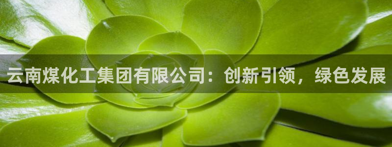 球盟会(中国)官方网站：云南煤化工集团有限公司：创新引领，绿