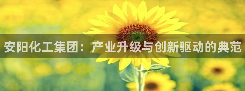球盟会能提现吗是真的吗