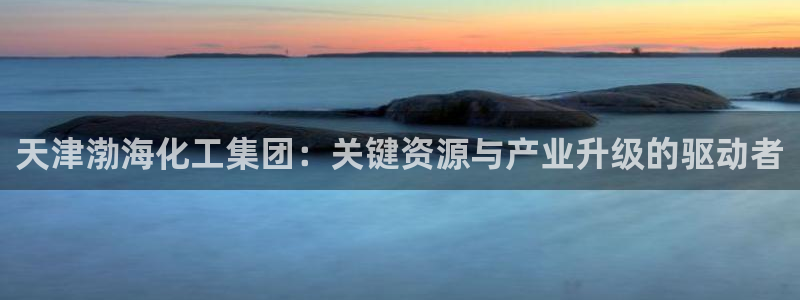 球盟会APP下载：天津渤海化工集团：关键资源与产业升级的驱动
