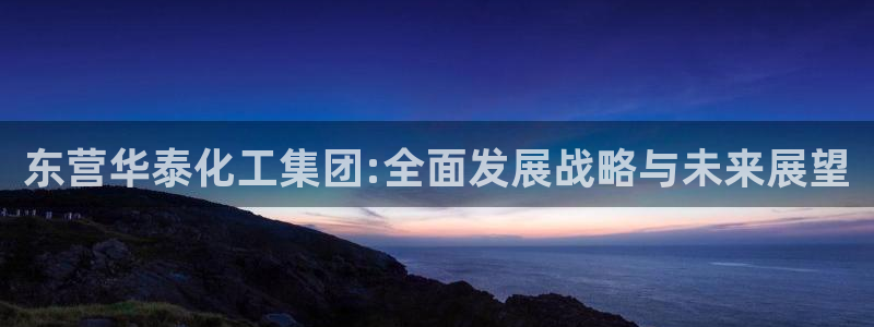 球盟会官方版下载地址：东营华泰化工集团:全面发展战略与未来展