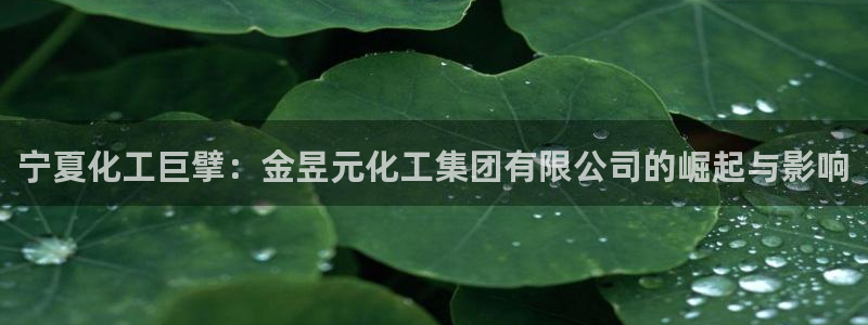 球盟会官方下载：宁夏化工巨擘：金昱元化工集团有限公司的崛起与