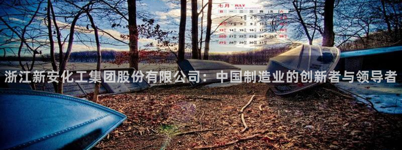 球盟会电子游戏平台：浙江新安化工集团股份有限公司：中国制造业