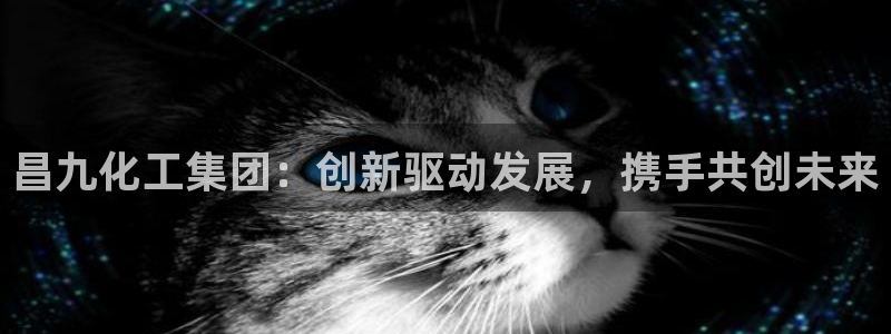 球盟会下款快吗