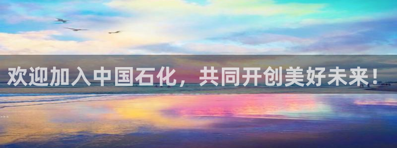 球盟会黑台：欢迎加入中国石化，共同开创美好未来！